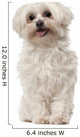 Maltese 6 Years Old Wall Decal