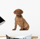 Dogue Bordeaux Puppy 8 Wall Decal