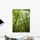 Foret Bambou Wall Decal