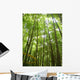 Foret Bambou Wall Decal