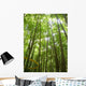 Foret Bambou Wall Decal
