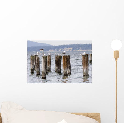 Seagulls Resting Pillars Wall Decal