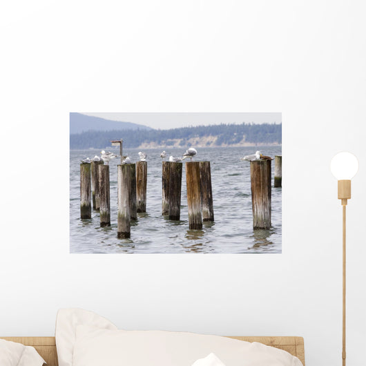 Seagulls Resting Pillars Wall Decal