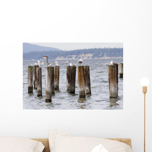 Seagulls Resting Pillars Wall Decal