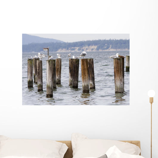 Seagulls Resting Pillars Wall Decal