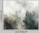 Fog Forest Wall Decal