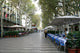 Rambla Street Morning Barcelona Wall Decal