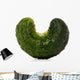 Gherkin Cucumber Wall Decal