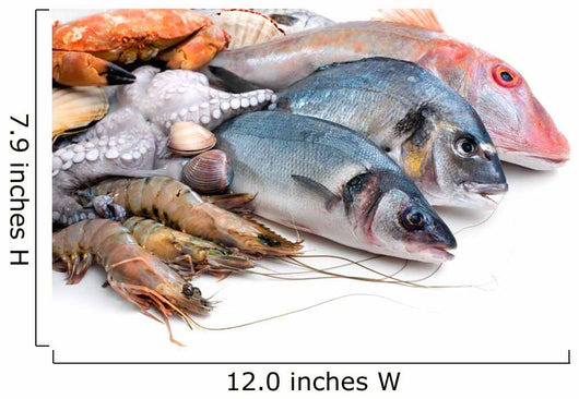 Fresh Catch Fish And Seafood Wall Decal