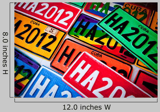 Automobile Plates Wall Decal