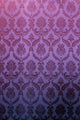 Vector Illustration Wall Decal