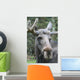 Moose Laying Down Close-Up Wall Decal