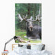 Moose Laying Down Wall Decal
