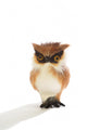 Cute Fluffy Toy Owl Wall Decal