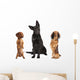Long Haired Miniature Dachshund Wall Decal