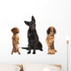 Long Haired Miniature Dachshund Wall Decal