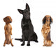 Long Haired Miniature Dachshund Wall Decal