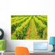 Rows Green Vines Growing Wall Decal