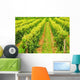 Rows Green Vines Growing Wall Decal
