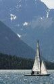 Sailing Plansee Wall Decal