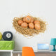 Star Egg Wall Decal