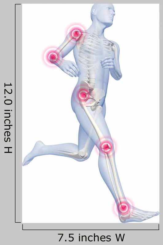 Running Man with Highlighted Joints - White Wall Decal