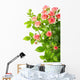 Bush With Pink Roses Wall Decal