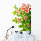 Bush With Pink Roses Wall Decal