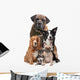 Five Dogs Wall Decal