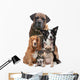 Five Dogs Wall Decal