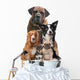Five Dogs Wall Decal