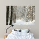 Forest Path Among Trees Wall Decal