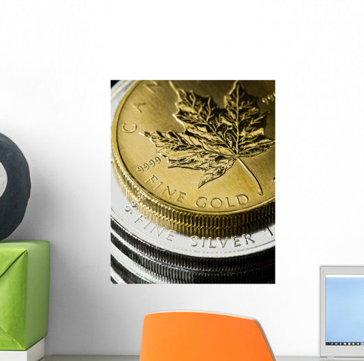 Gold And Silver Coins Wall Decal