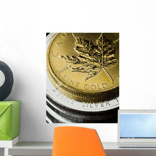 Gold And Silver Coins Wall Decal