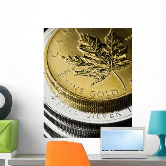 Gold And Silver Coins Wall Decal