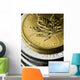 Gold And Silver Coins Wall Decal