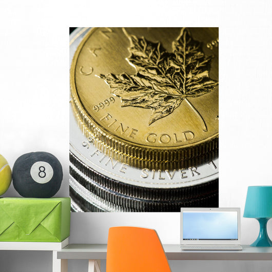 Gold And Silver Coins Wall Decal
