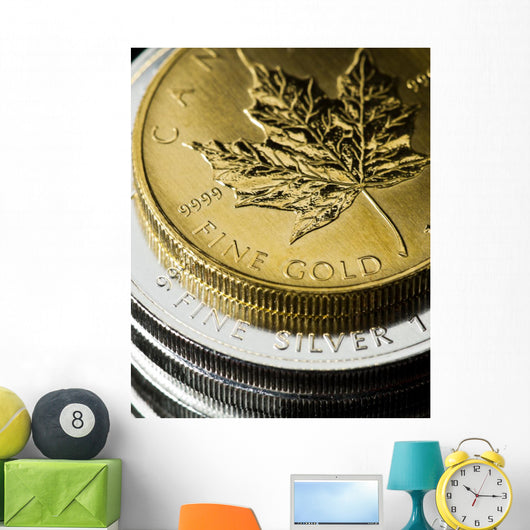 Gold And Silver Coins Wall Decal
