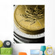 Gold And Silver Coins Wall Decal