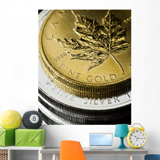 Gold And Silver Coins Wall Decal