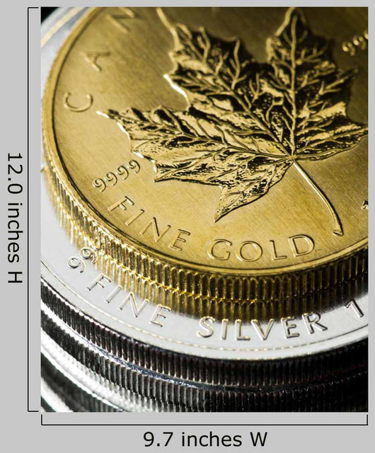 Gold And Silver Coins Wall Decal