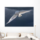 Snowy Owl Flight Against Clouded Sky Wall Decal
