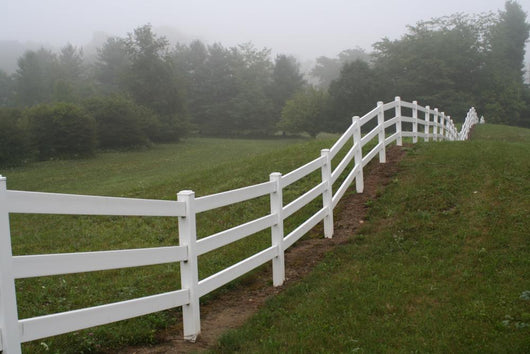 Horse Fence Wall Decal