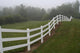 Horse Fence Wall Decal