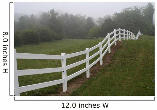 Horse Fence Wall Decal