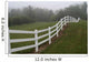 Horse Fence Wall Decal
