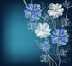 With Hand-Drawn Flowers Wall Decal