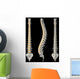 Views Spine Wall Decal