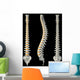 Views Spine Wall Decal