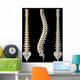 Views Spine Wall Decal